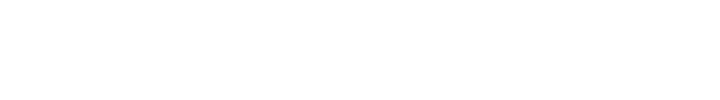 Park n Charge Plus Logo